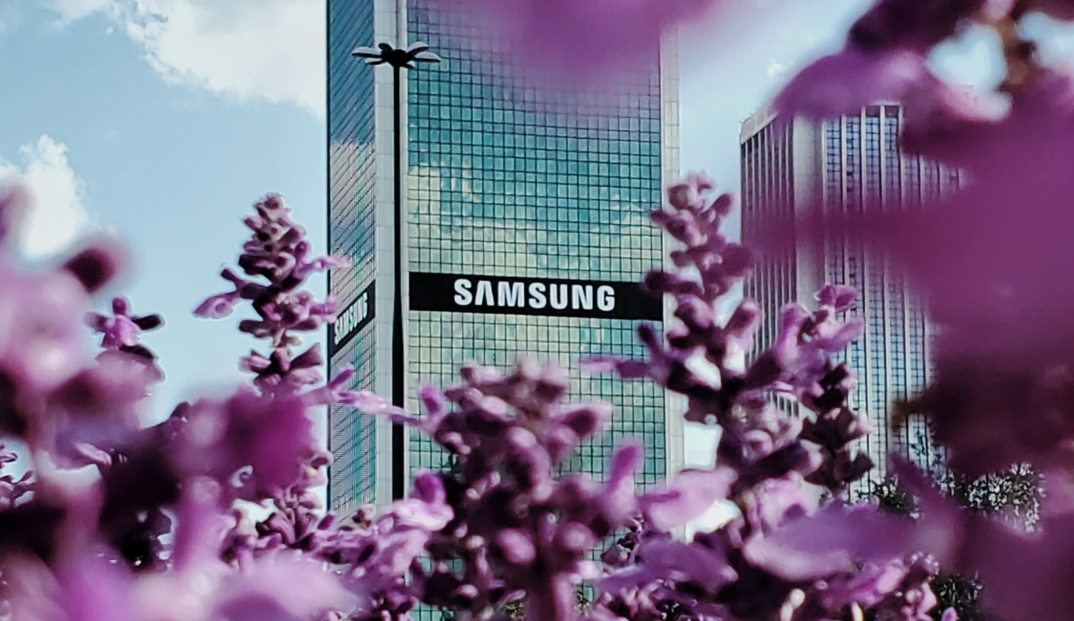 Samsung Galaxy Smart Ring Expected Price, Release Date & Features From